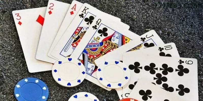 Cassino ao vivo 777feb dealers